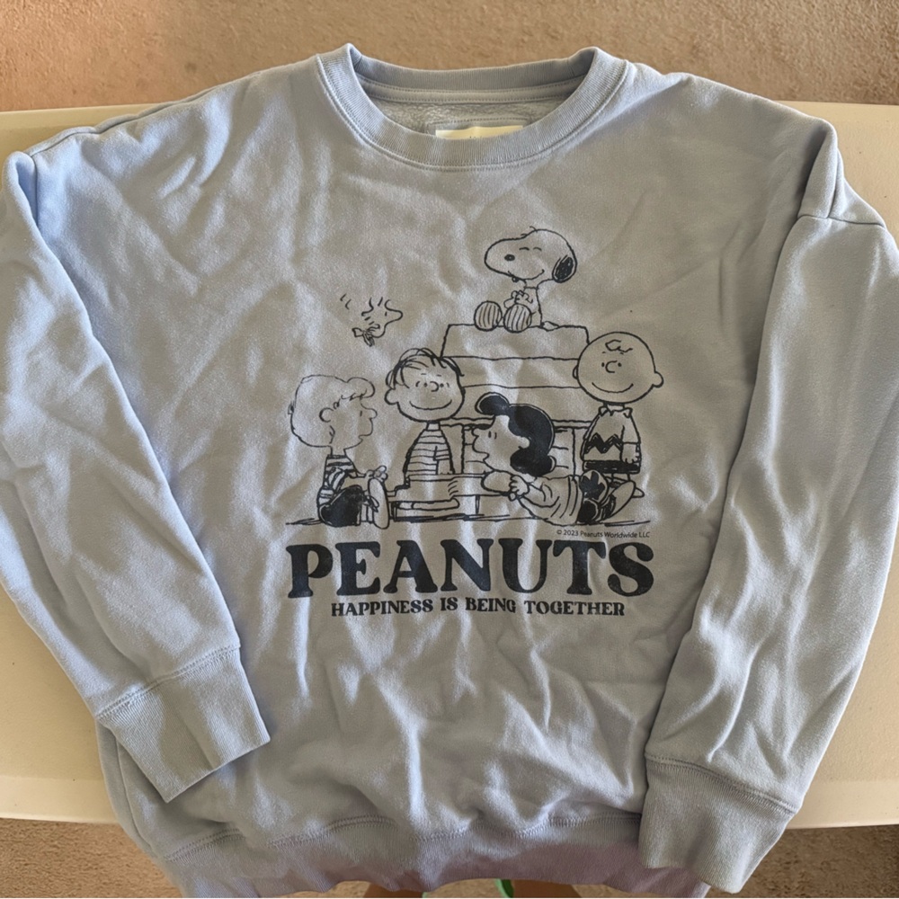 Abercrombie Kids Light Blue Peanuts Sweatshirt
